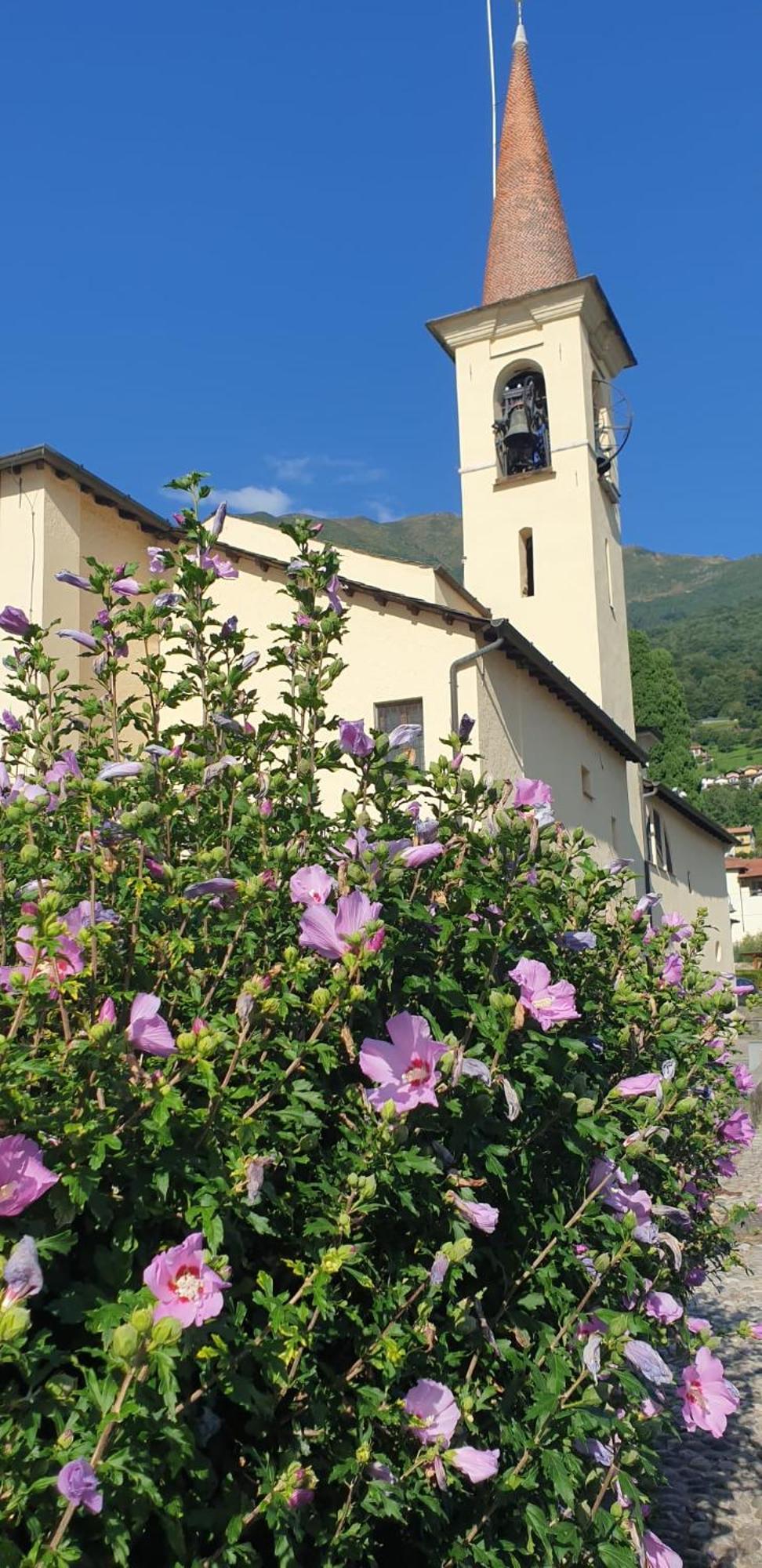 Residence Laguna Beach Pianello Del Lario المظهر الخارجي الصورة