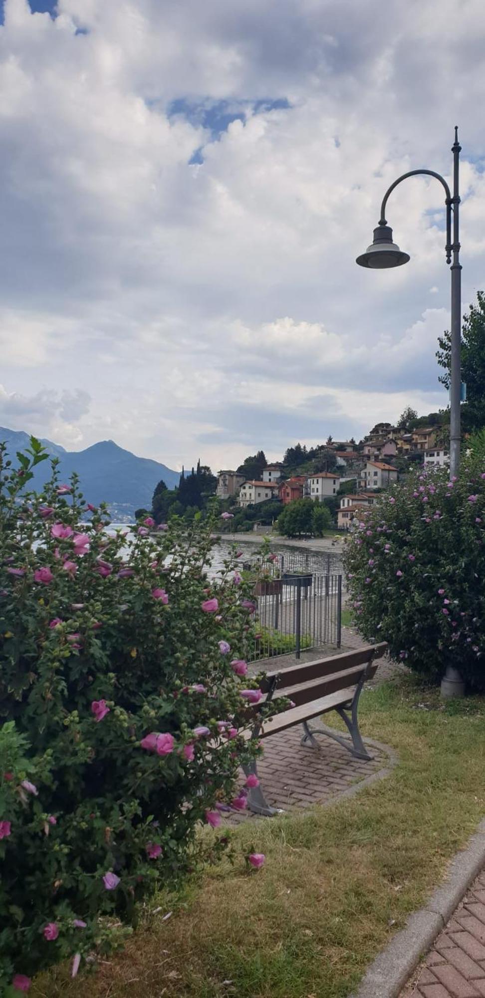 Residence Laguna Beach Pianello Del Lario المظهر الخارجي الصورة